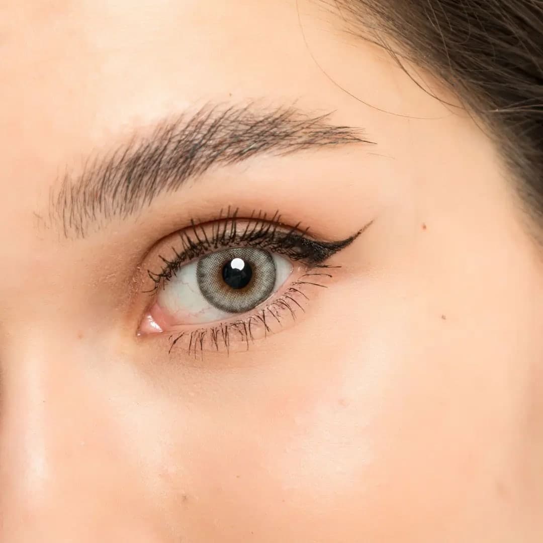 European Dark Gray Color Lenses