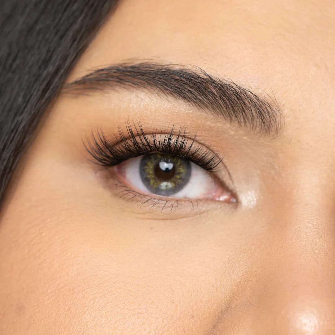 עדשות צבע Prestige Gray