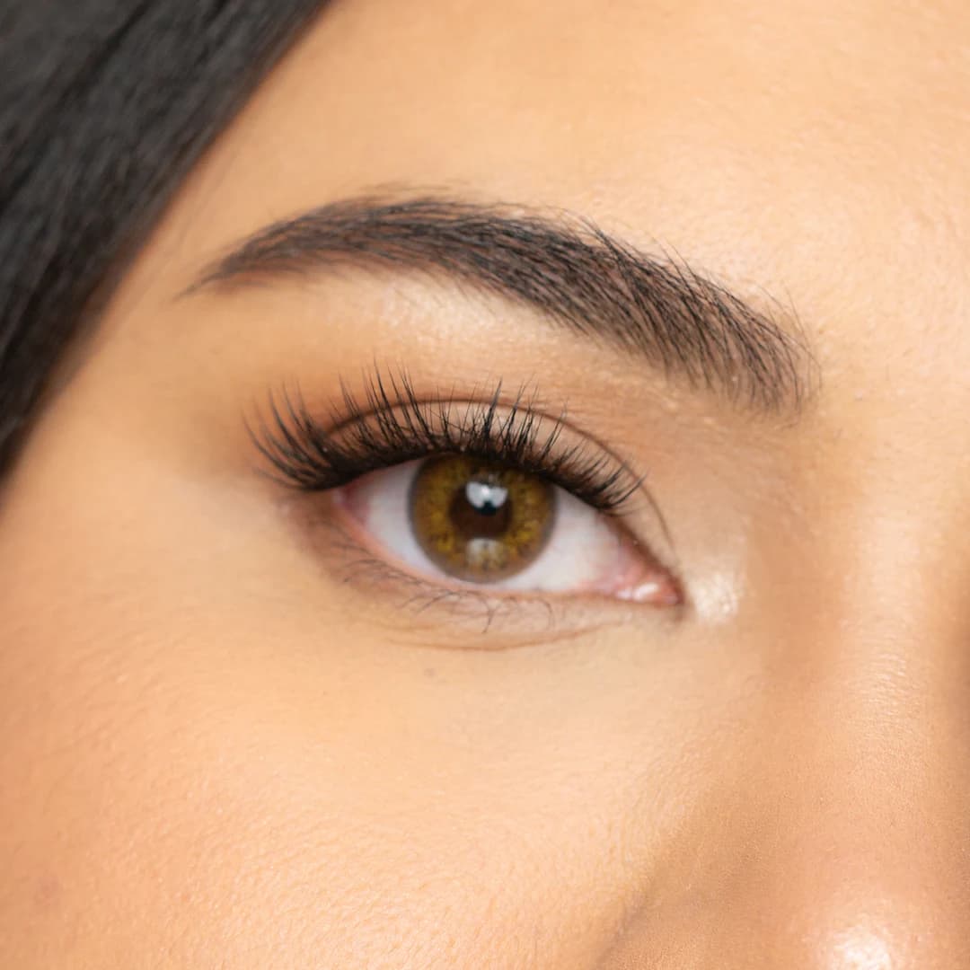 Golden Brown Color Lenses