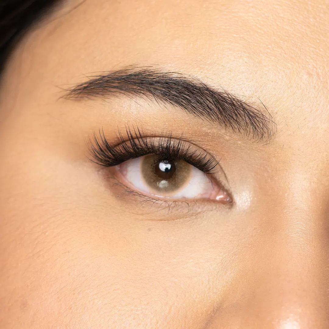 עדשות צבע HONEYBROWN