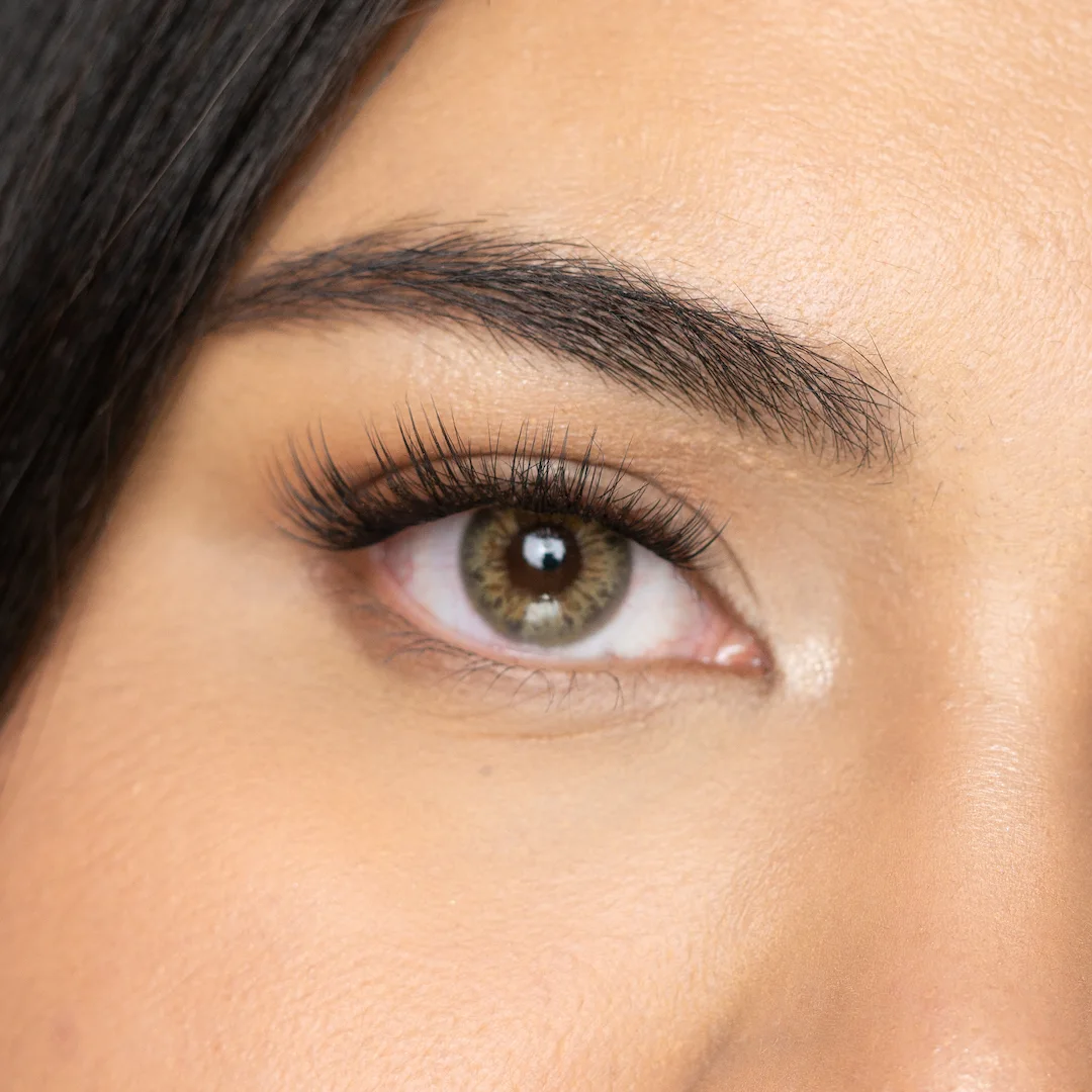 עדשות צבע olive brown