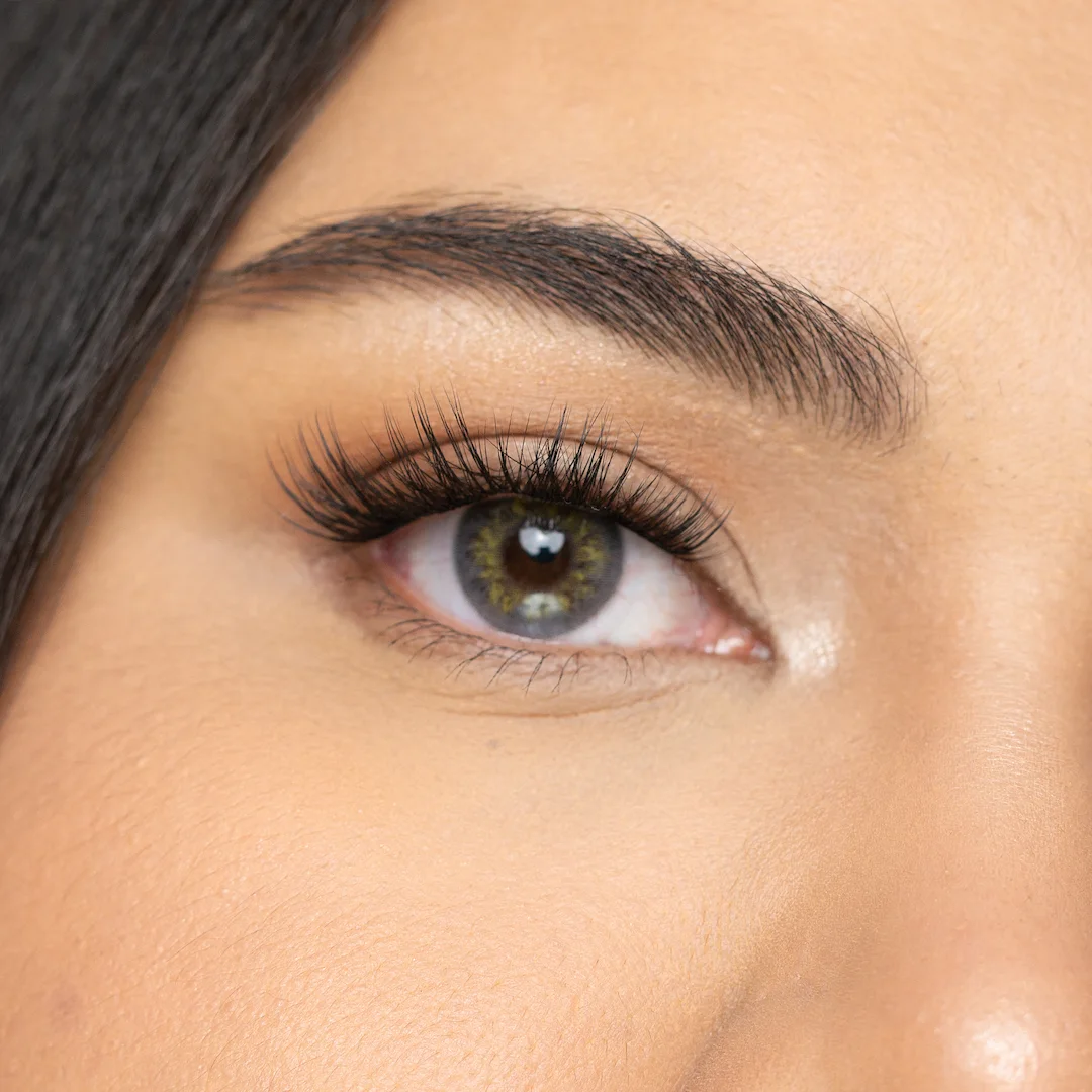 עדשות צבע Prestige Gray