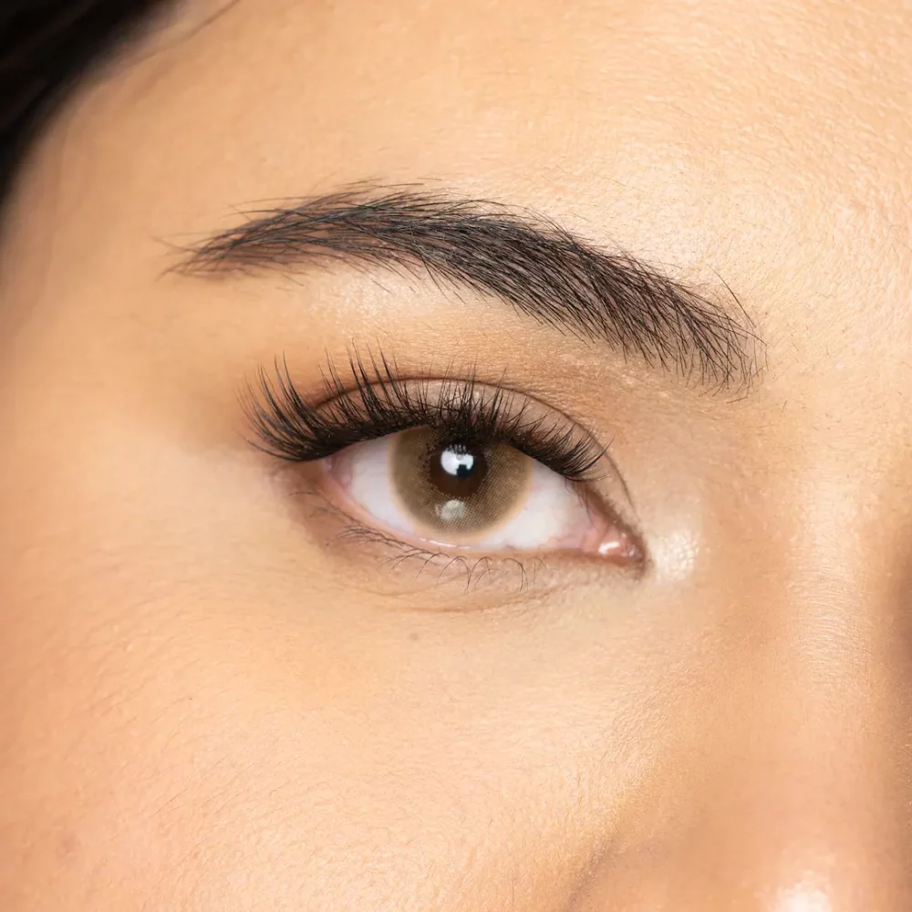 עדשות צבע HONEYBROWN